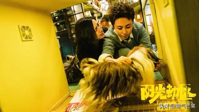 2021年5月电影院上映影片观影指南