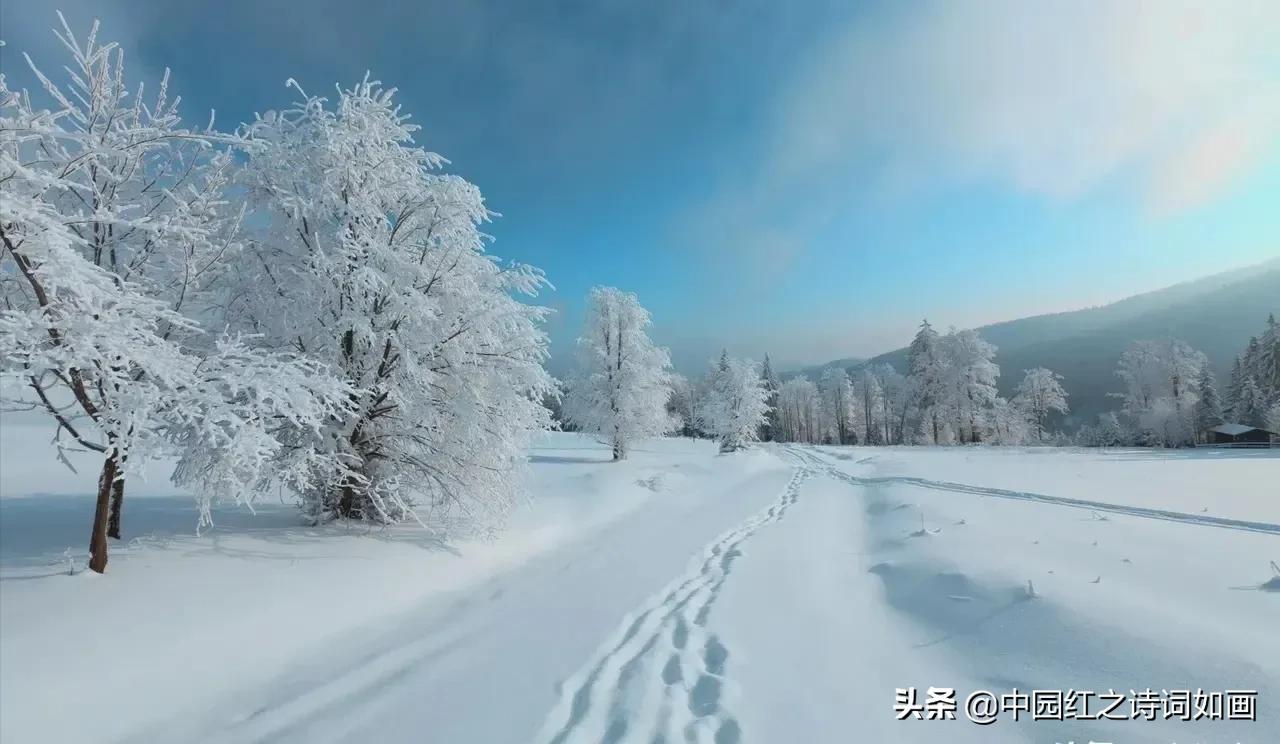 一念冬安 静待雪花飘 Mp头条