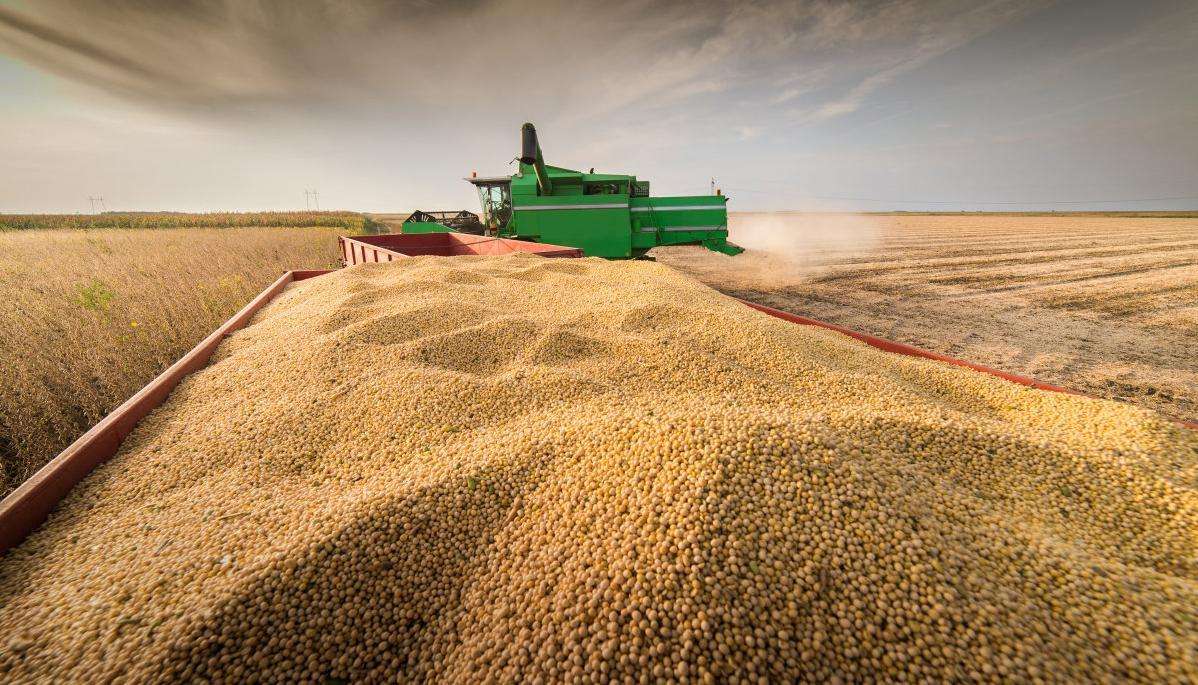 贪得无厌？全国80%大豆由中国购买，阿根廷第五