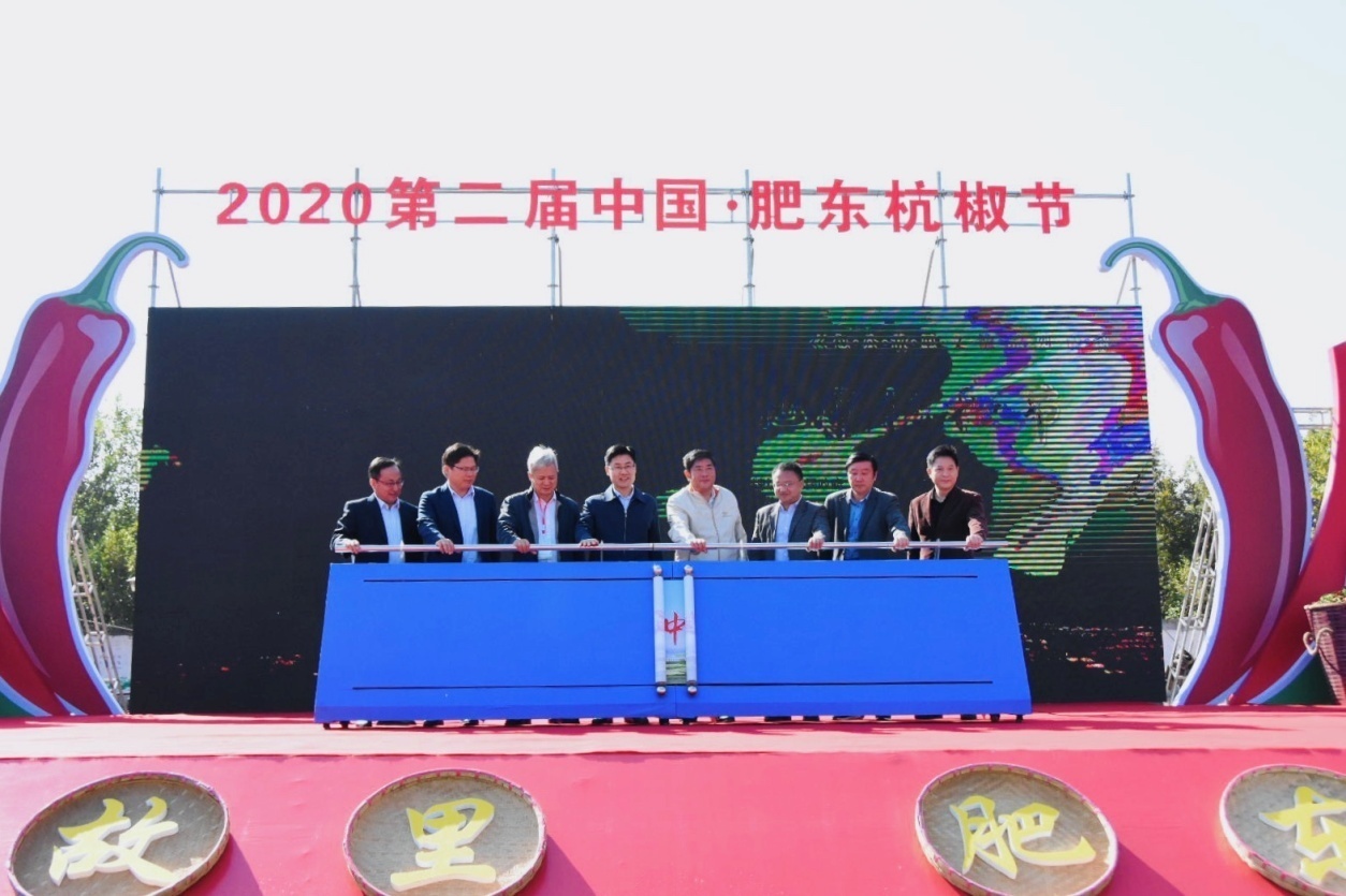 2020第二届中国-肥东杭椒节隆重开幕