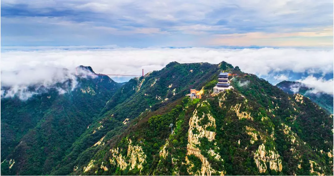 “粽”情狂欢丨端午节，临沂天蒙景区免费游！福粽免费送