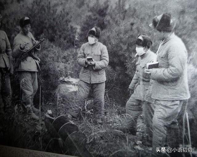 抗美援朝战争中，240万志愿军硬刚美军，朝鲜本国军队在干什么？