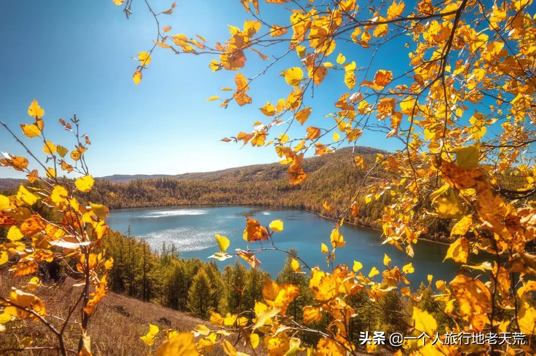 如果你想看最美的秋色，记得一定不能错过阿尔山，绝对让你惊喜