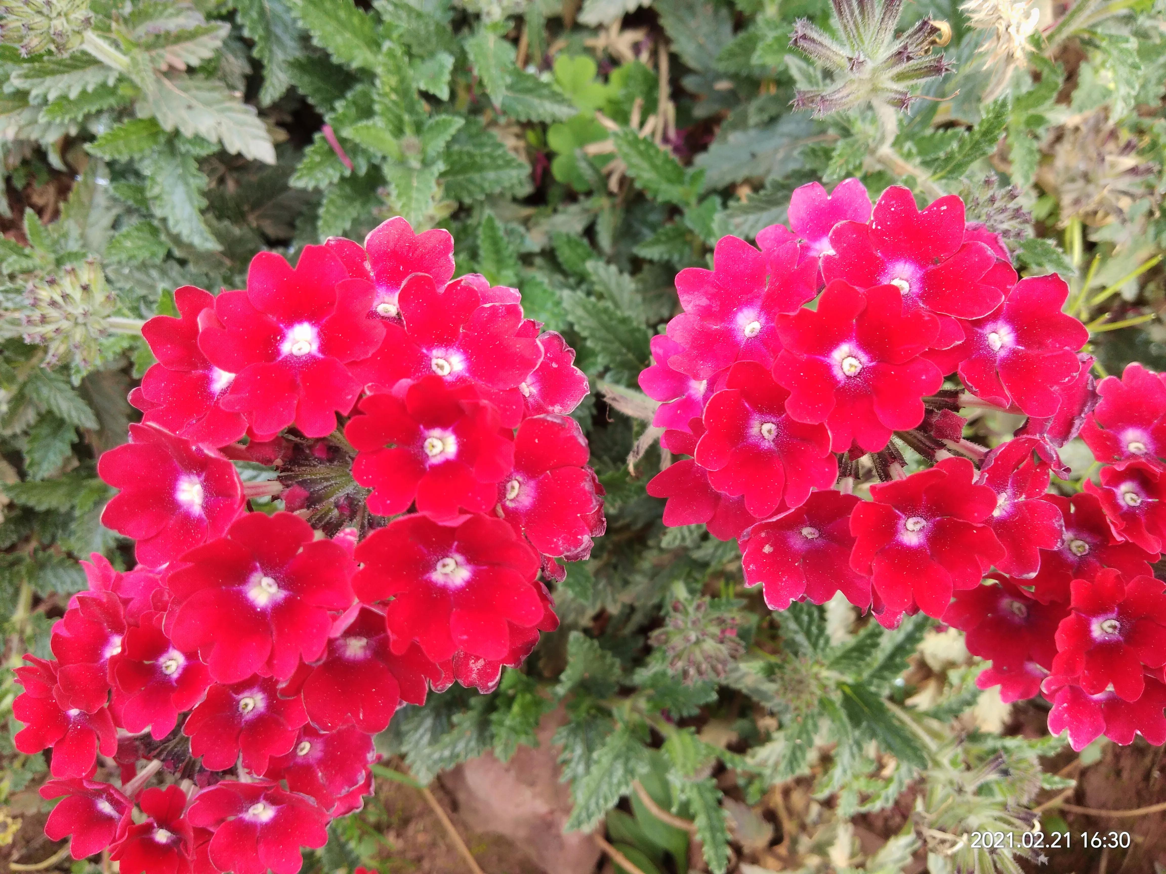 怎样看待自媒体