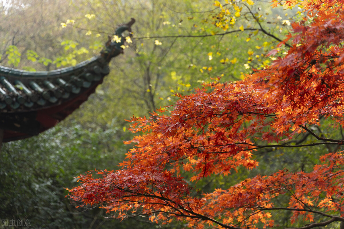 9月不可错过的这15处初秋美景，领略中国最美的秋色，美得不像话插图65