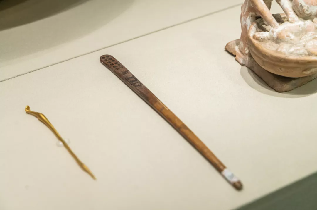 国内首个！中医药出土文物特展，马王堆、敦煌国宝都来了