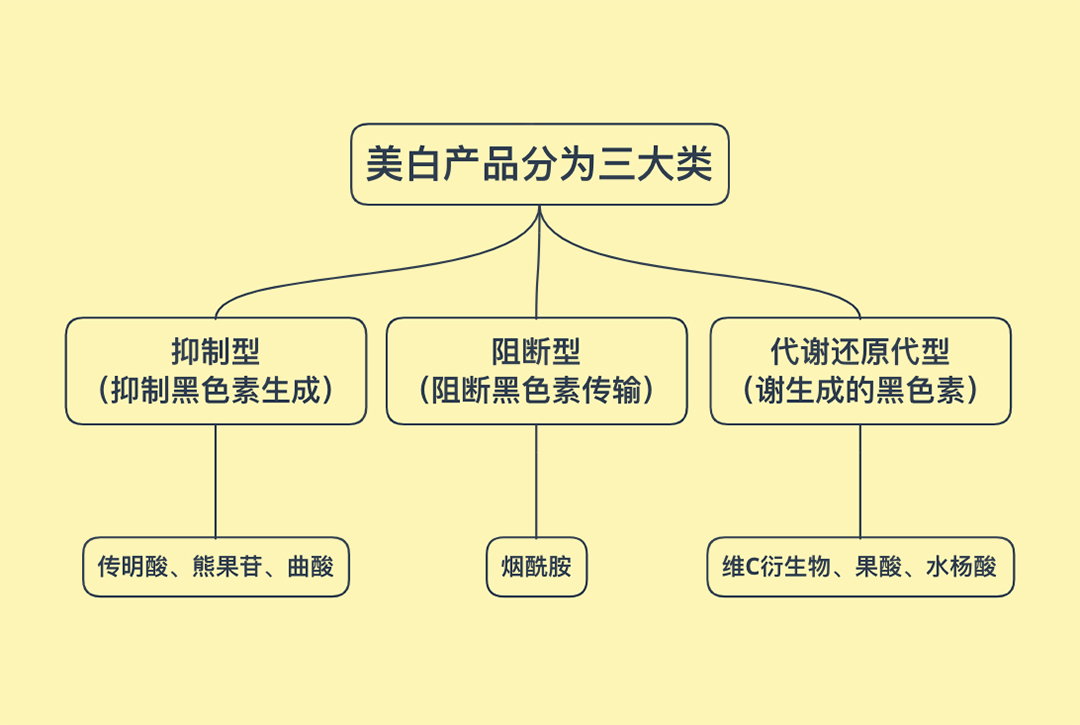 为什么有的人白到发光？黄黑皮想要变白，这些美白秘籍请收好-第6张图片-农百科