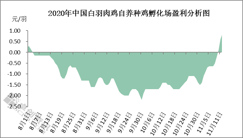 鸡苗开启疯涨模式 孵化企业终获盈利