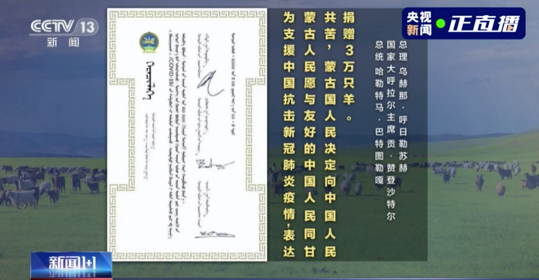 首批蒙古國贈(zèng)送羊抵達(dá)武漢 3萬只“暖羊羊”如何分配？