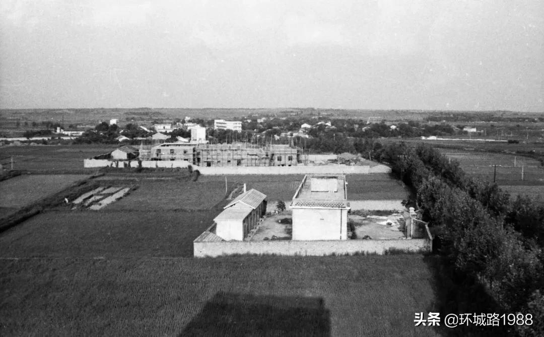 这里是,杨店