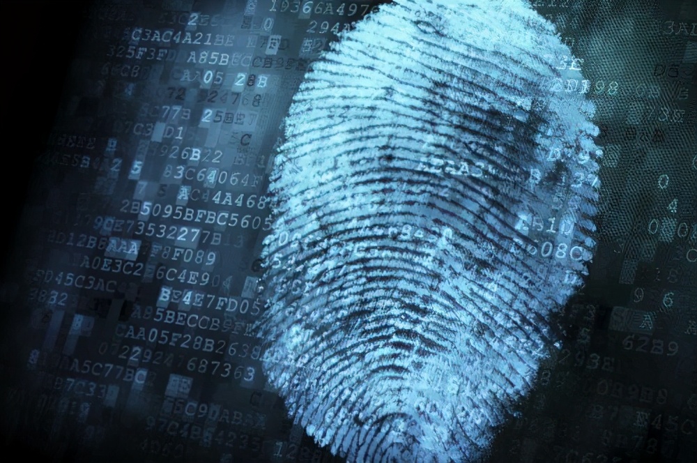 這些難以見到的奇葩冷星空体育官网入口网站，肯定有你之前不了解的