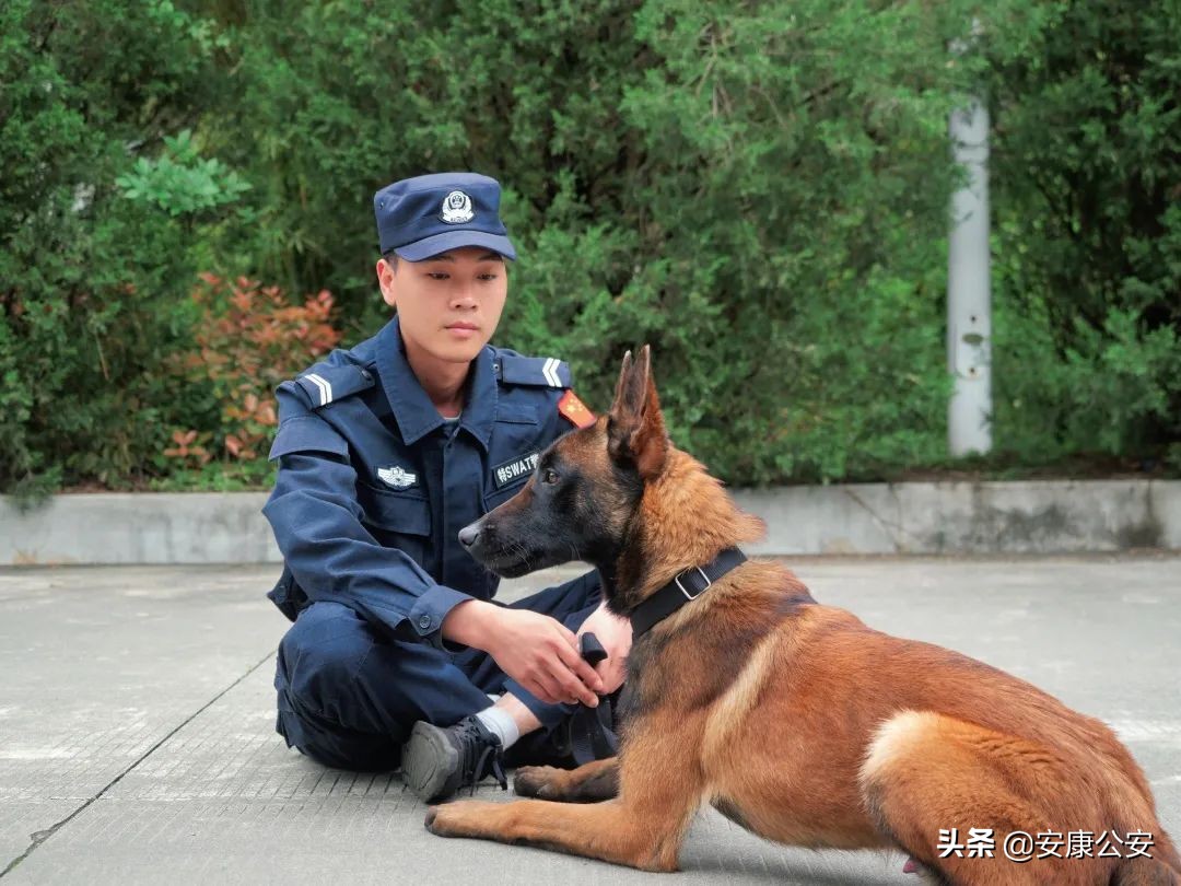 安康警察风采 09期