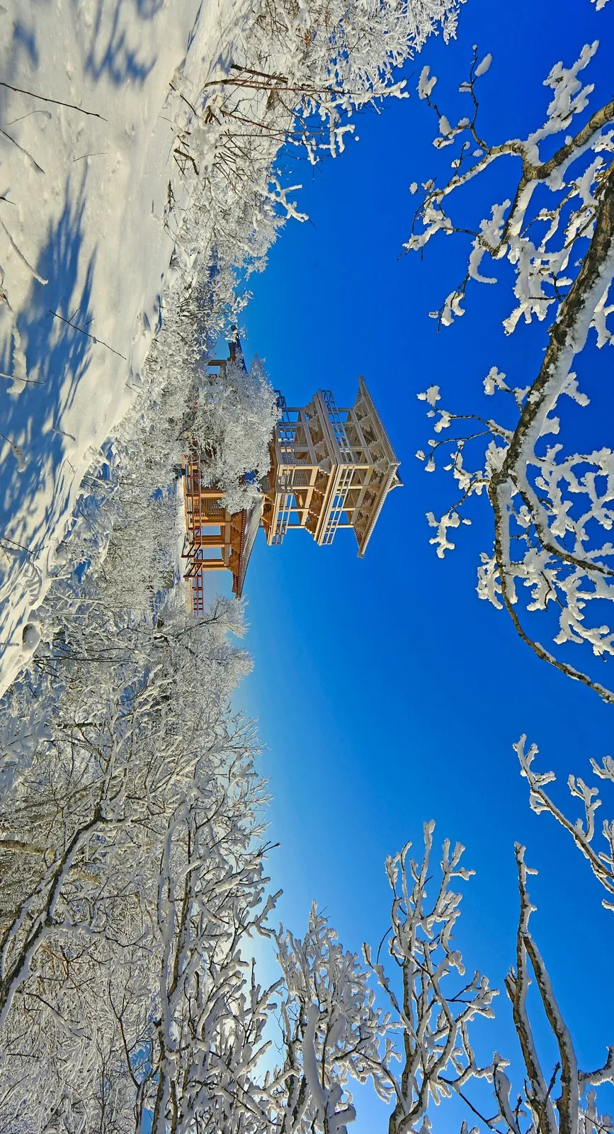 黑土湿地之都 | 诗画饶河 魅力边城