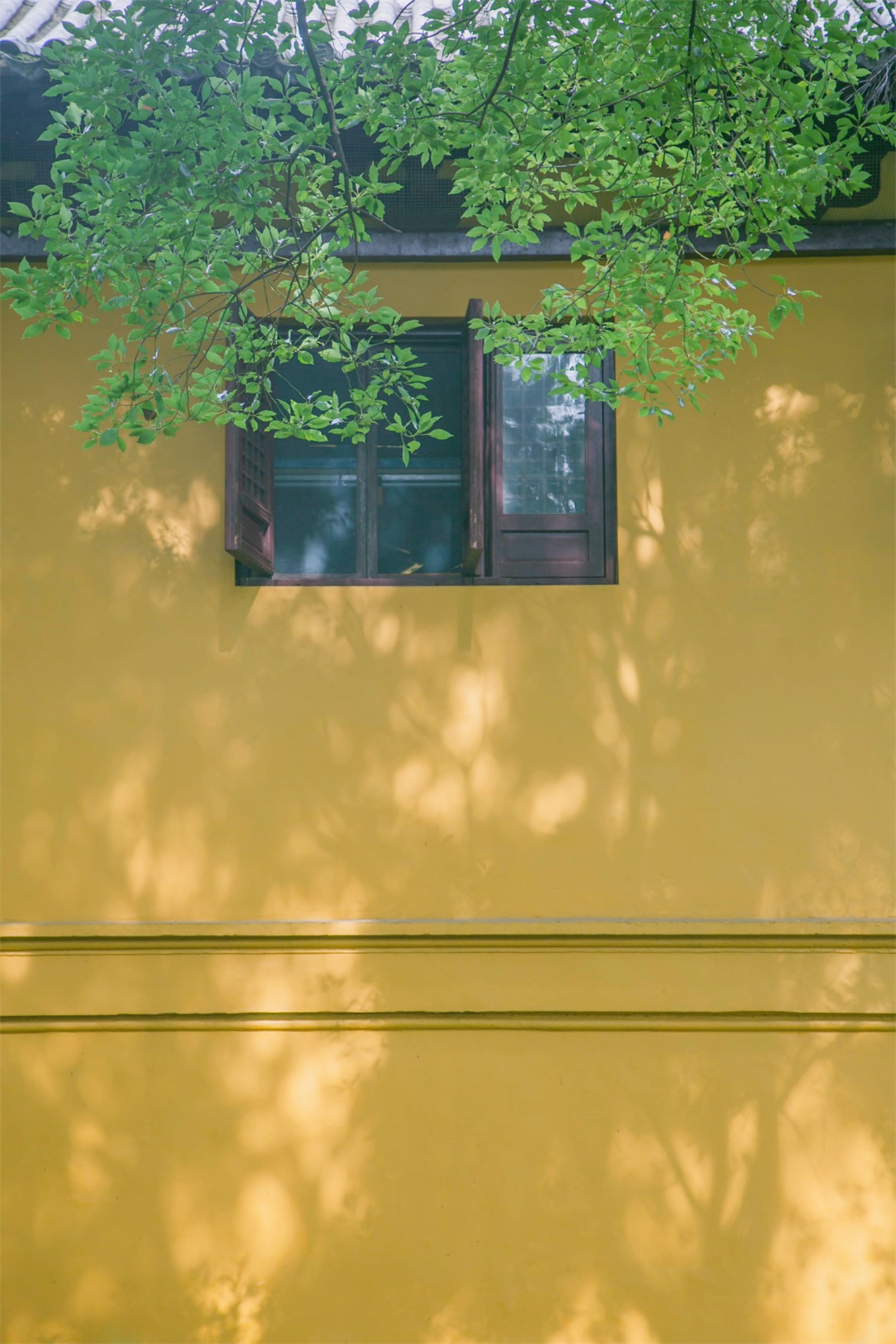 这个被誉为“山水氧吧”的地方，却藏着一座堪称东方的“卢浮宫”