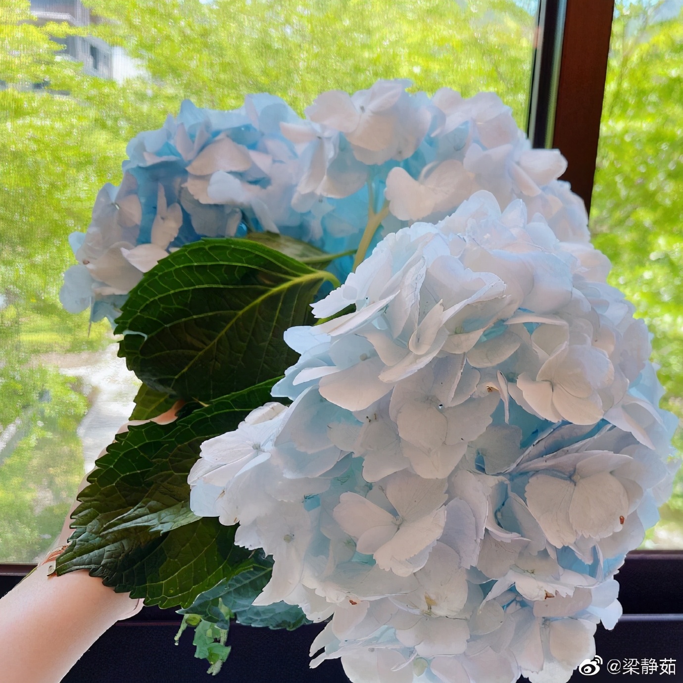 梁静茹手捧鲜花庆43岁生日，7岁爱子甜蜜献吻，与范玮琪正式决裂