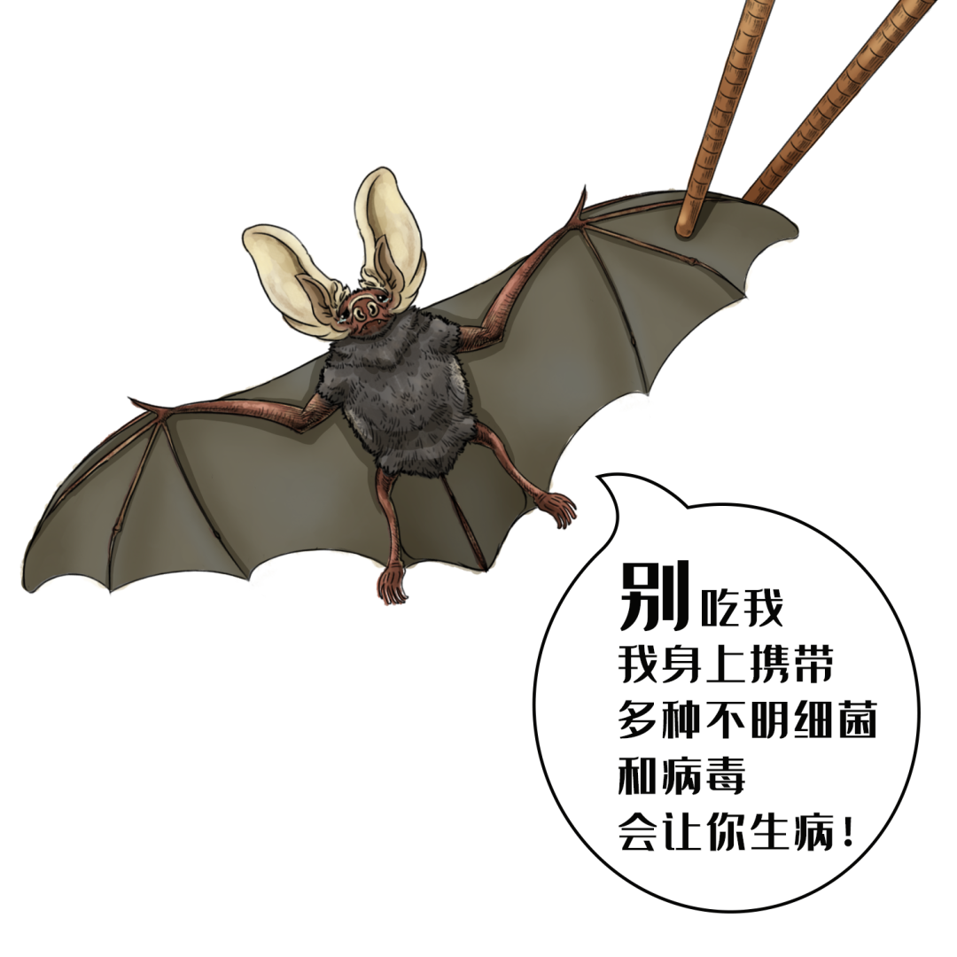 大错特错！富含膳食纤维的蔬菜不是芹菜！而是