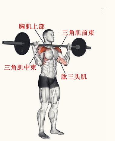Seated Behind The Neck Shoulder Press By Frnkpbdy On Deviantart