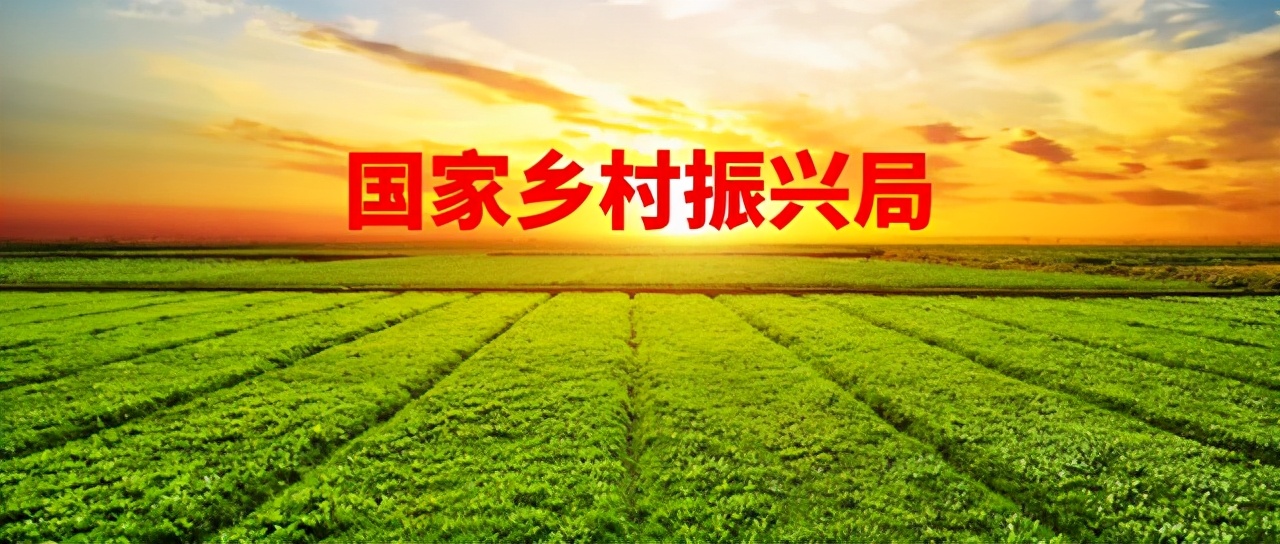 国家乡村振兴局，偿还“对农民的一本历史性欠账”，走出关键一步