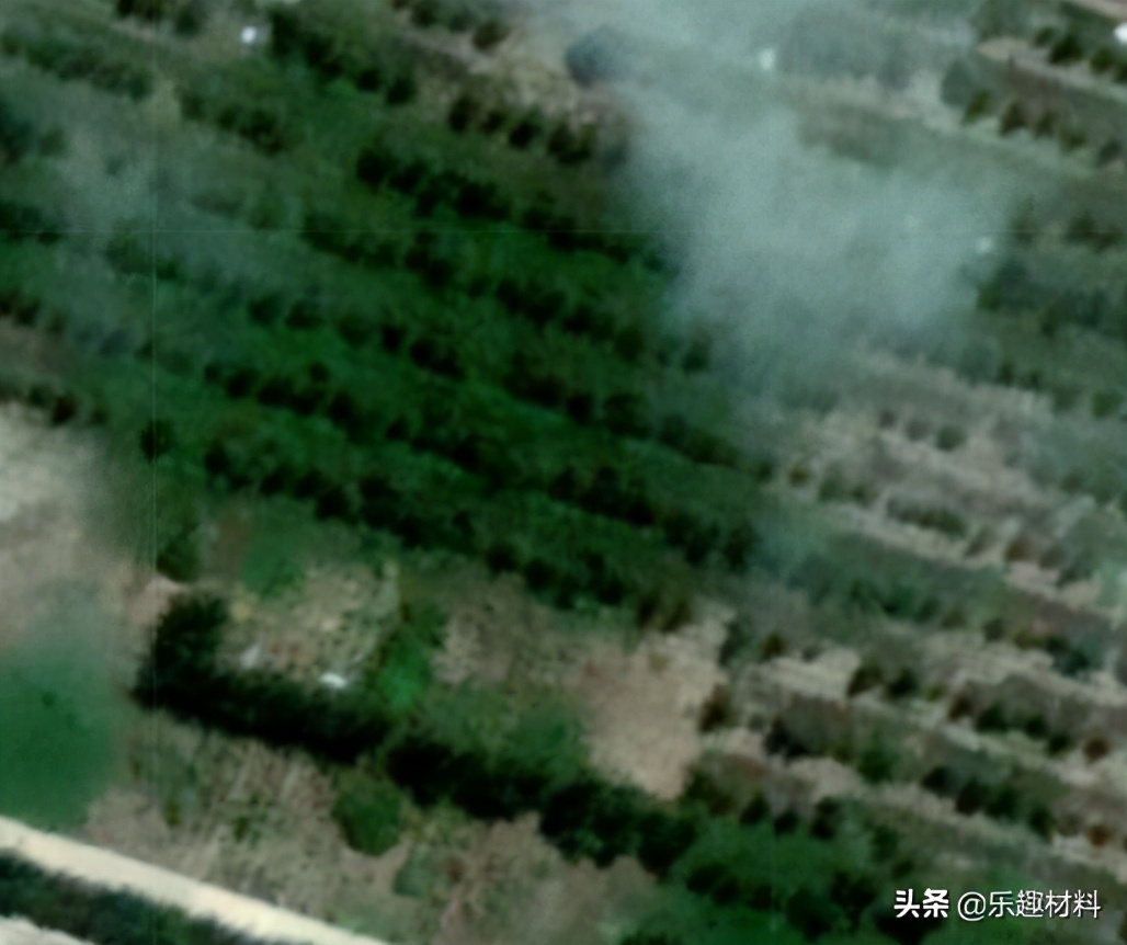 �̻���ħ���������פ�����϶˻���������˺���ɭ��