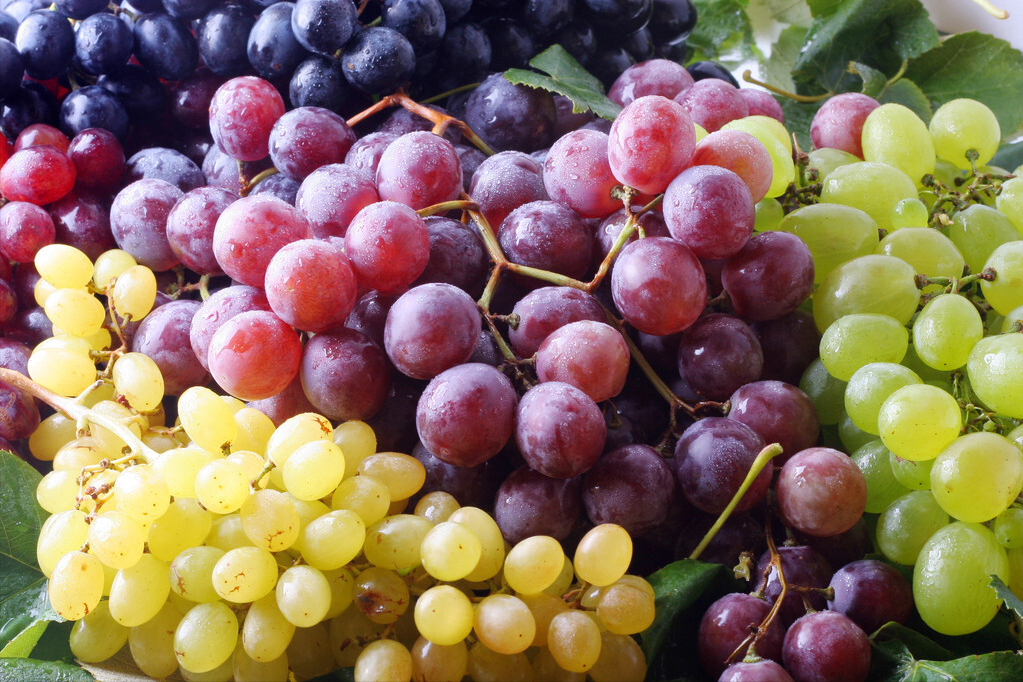 洗葡萄别再用盐水了，教你正确洗法，干净没虫卵，吃葡萄不用去皮