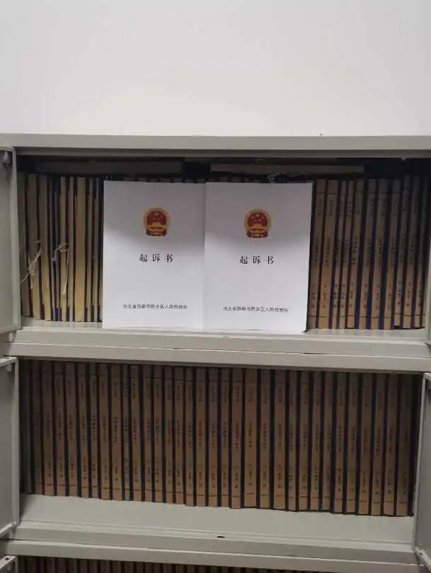 細節披露！肥鄉破獲審結廣平賀金山等16人重大涉黑案