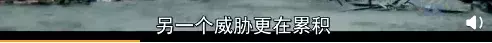 bbc纪录片揭秘气候变化真相:留给人类的时间不多了!| 花边阅读