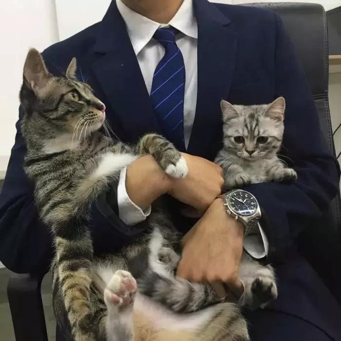 男生霸气冷酷动漫头像照片