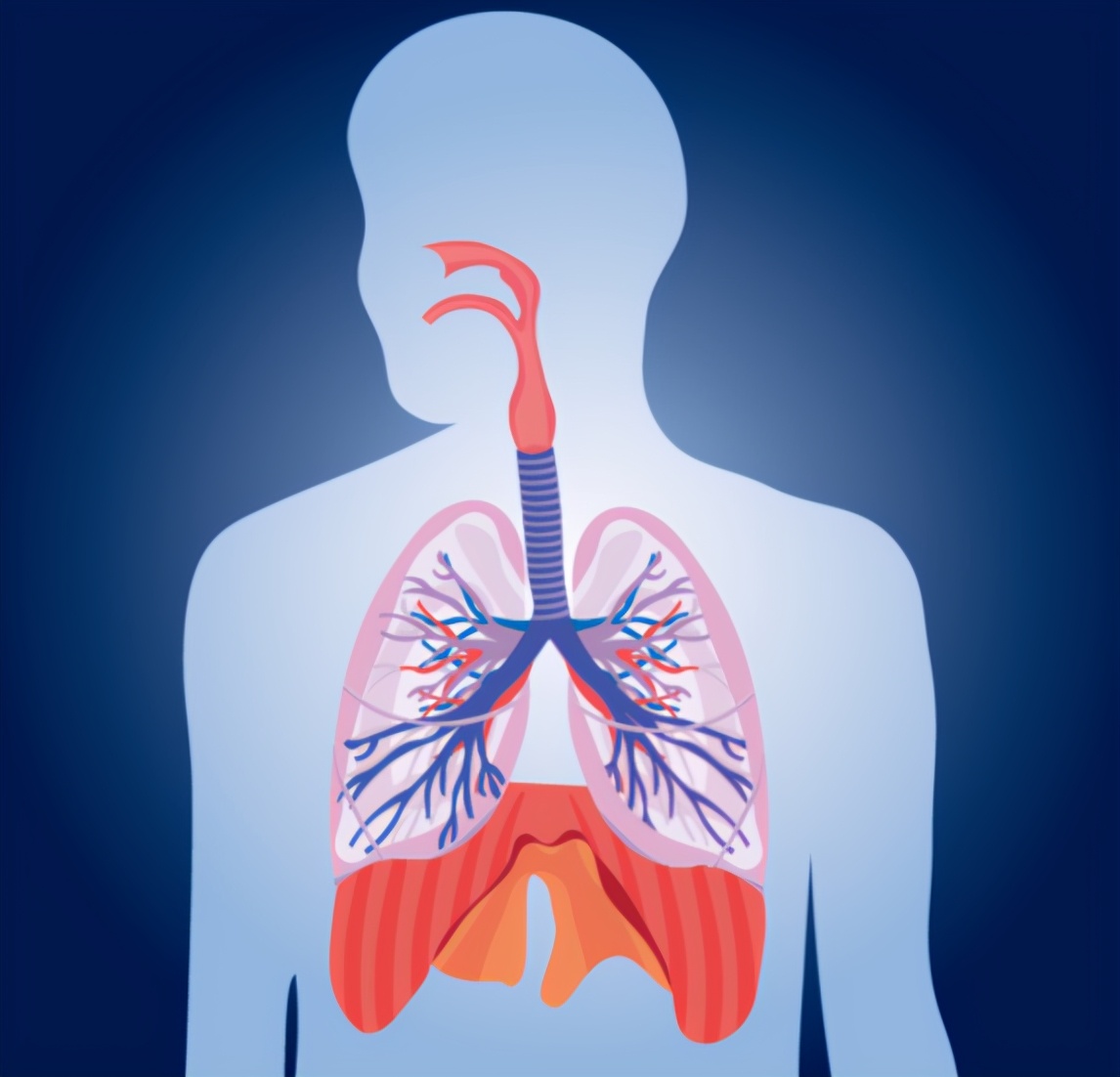 肺部不好要多吃這4類食物，能潤肺化痰，給肺部洗洗澡