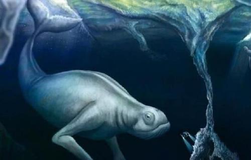 南极洲8大未解的谜团之神奇的“南极洲人造人”