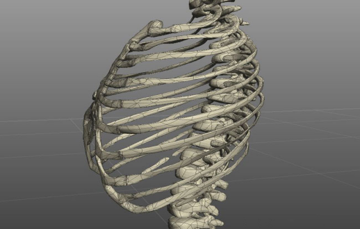 关于ZBrush骨骼建模你会多少？这里有详细的骨骼建模教程，瞅瞅？