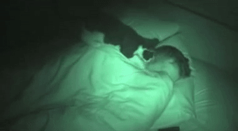 女孩睡著後被貓打了4個小時，但小貓咪可能沒什麽壞心思