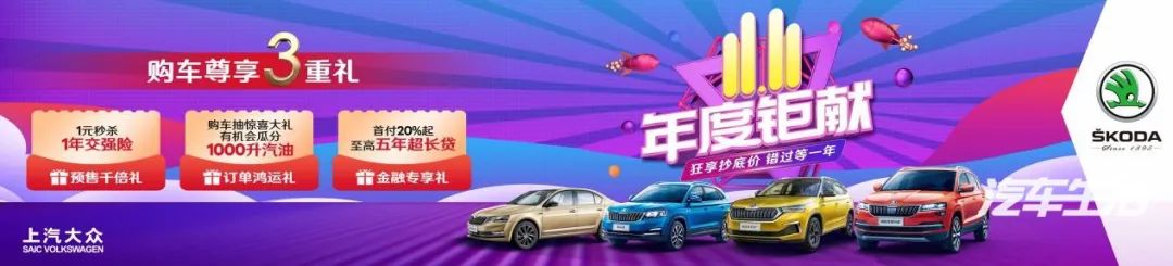 别人双十一买衣服，我就不一样，我买车