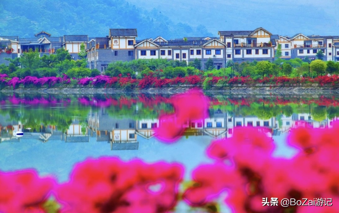 到四川雅安旅行不能错过的10大景点，有一处被称为中国仙茶故乡