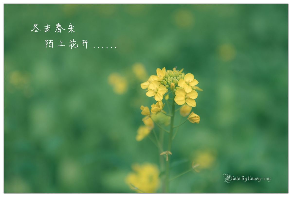 100首关于春的古诗，每天背一首（转给孩子）-第1张图片-非凡网
