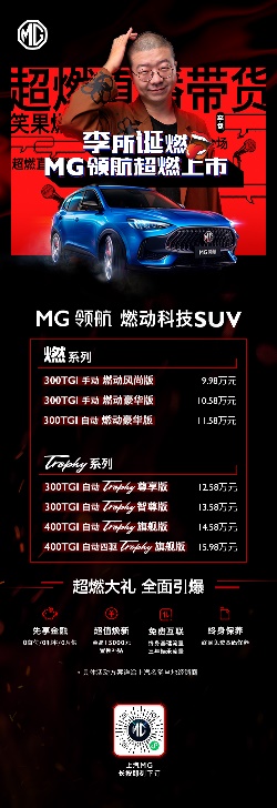 大河报汽车网
