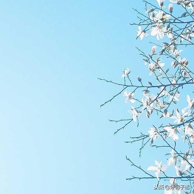 最好最简短的唯美句子 励志的句子致自己简短图片