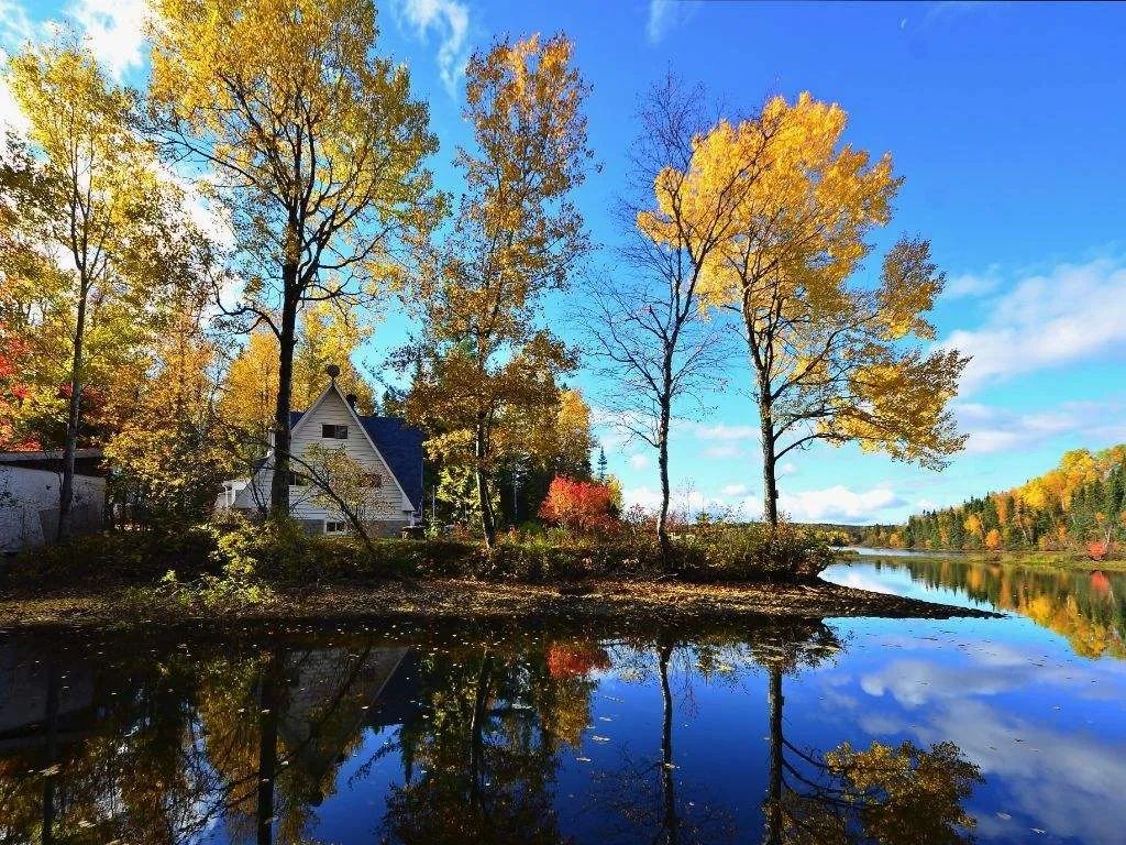 诗词鉴赏-刘禹锡笔下的秋天，每一句都那么惊艳，美得令人心醉