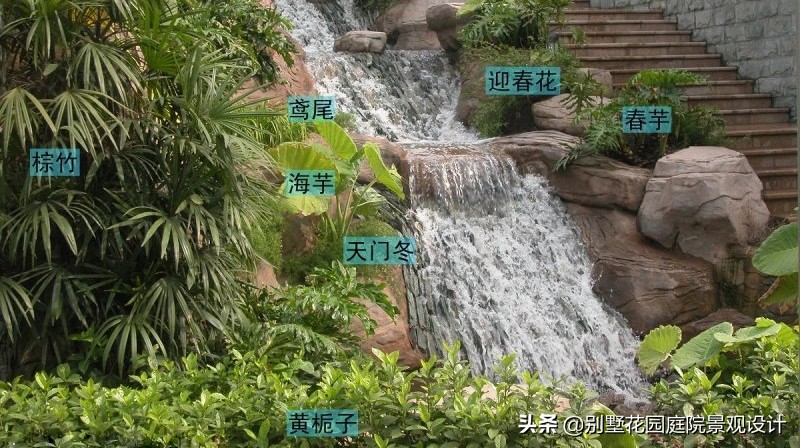 別墅庭院常用植物分享，附照片及名字標(biāo)注（珍藏版）