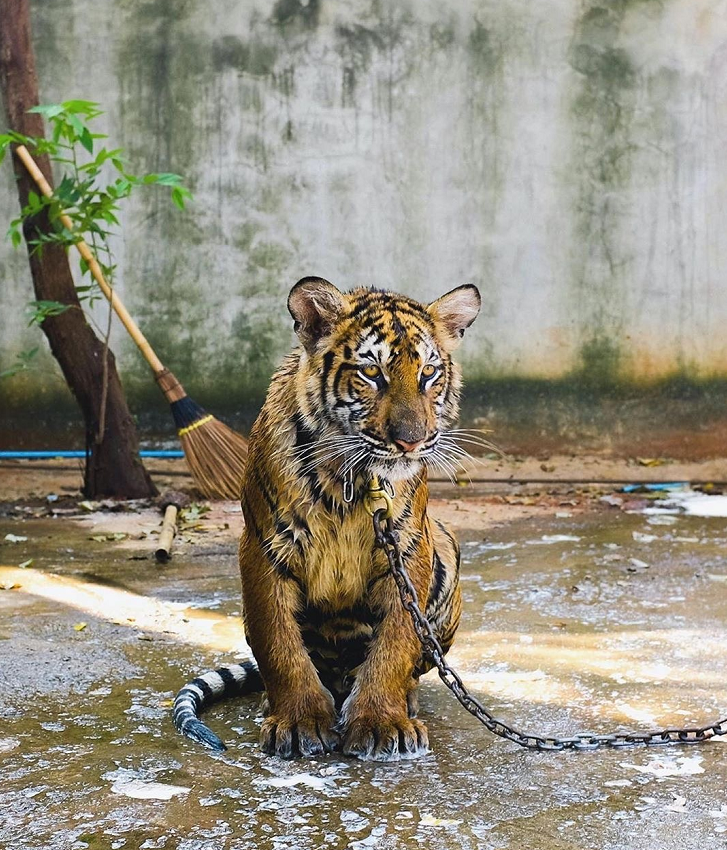 疫情未结束，另一场席卷70亿人的危机还在发生