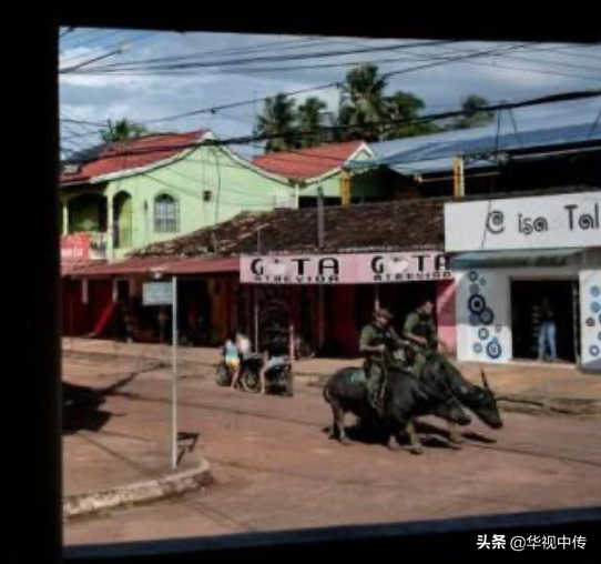 巴西警察的水牛坐骑：堪比太上老君的坐骑，个