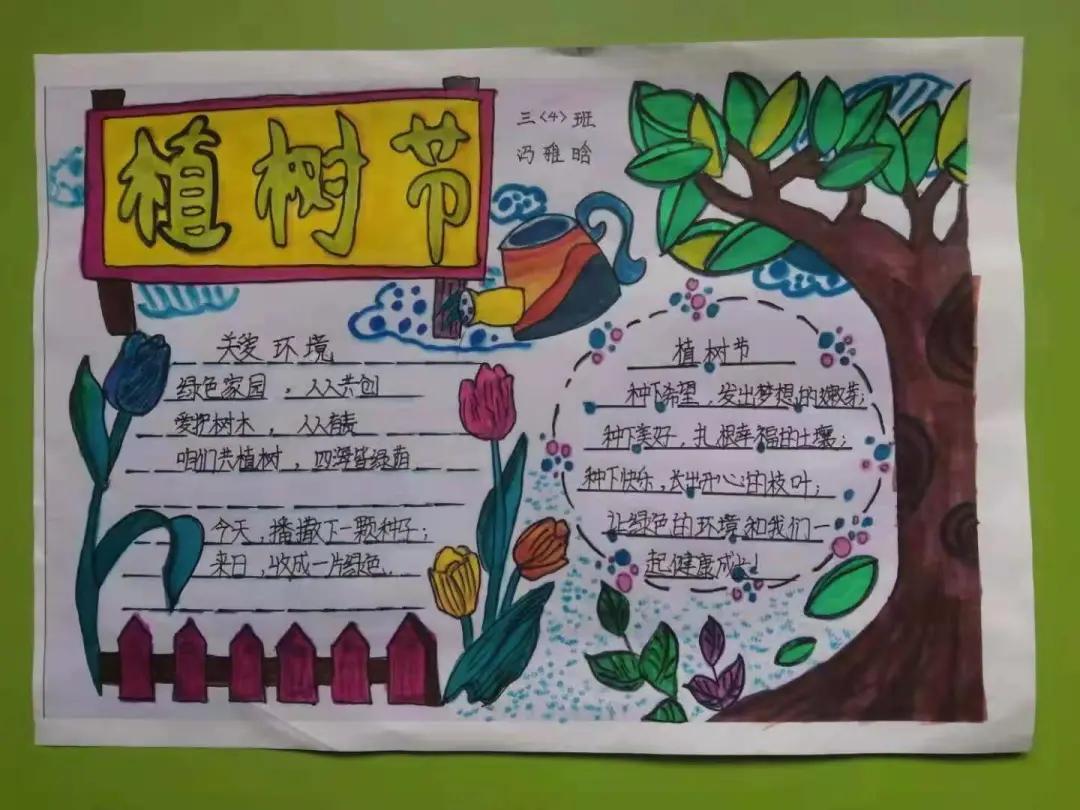 ��֮��.ֲ�̻���--�����еھ�Сѧֲ���ڻ��Ӱ