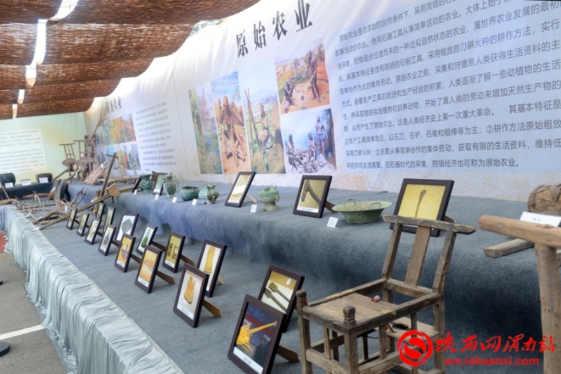 合阳县2020年农民丰收节暨第五届红提葡萄节开幕（组图）