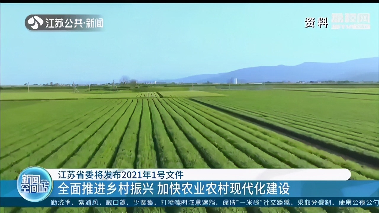 江苏省委将发布2021年1号文件 全面推进乡村振兴 加快农业农村现代化建设
