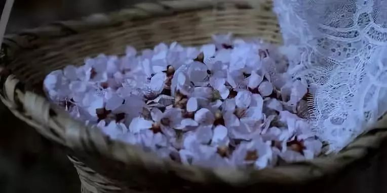 网红李子柒和国家院士袁隆平一起“获奖”？李