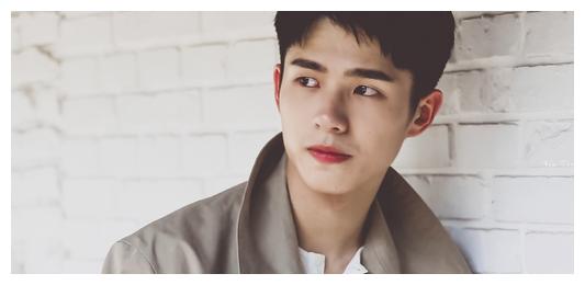 热巴为粉丝证婚，刘昊然给粉丝捐款，看到鞠婧