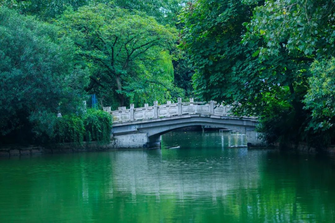 十首诗词，走过半生，才读懂其中真意-第1张图片-非凡网