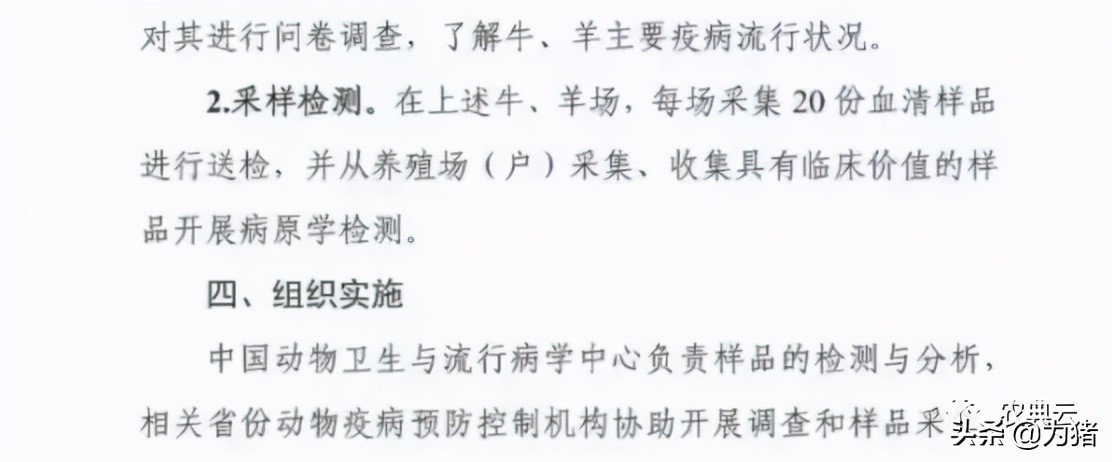 农业部发布2021-2025年疫病检测计划！包含非洲猪瘟、蓝耳病...