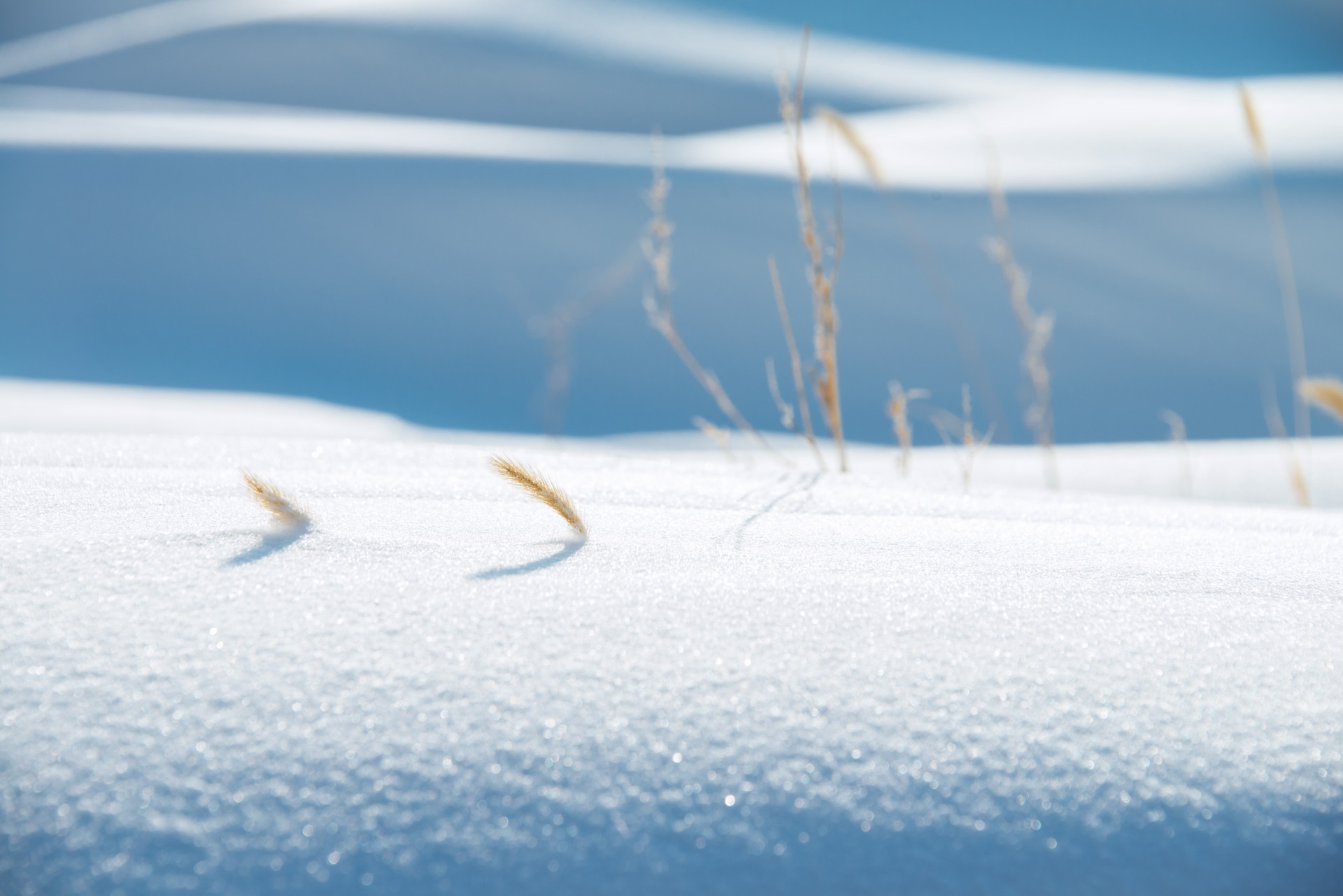 20首最经典的冬天诗词：踏着冬的脚步，品味古人笔下的冬天-第3张图片-诗句网