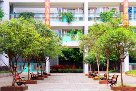 “乘风破浪”的武侯实验，让每一颗优质的种子，骄傲起来