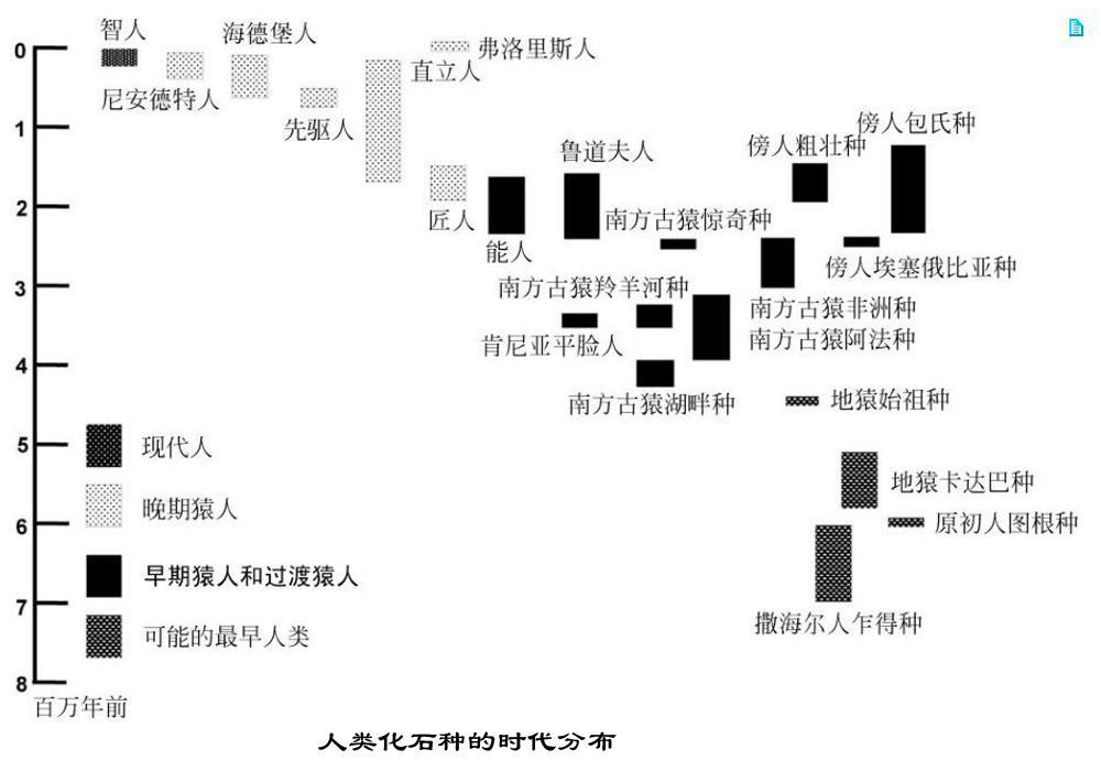 进化：人类从猿到人的这几百万年